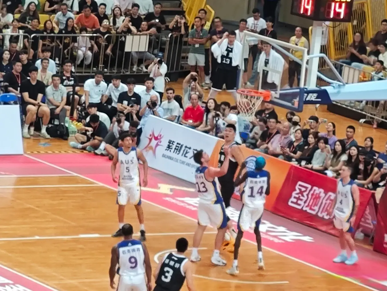 马壮了, 焦泊乔 马壮了, 焦泊乔