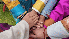 inews, 草原的宁静 inews, 草原的宁静